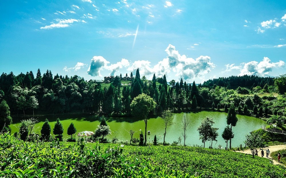 Antu Pokhari lake surrounded by trees and cottages
