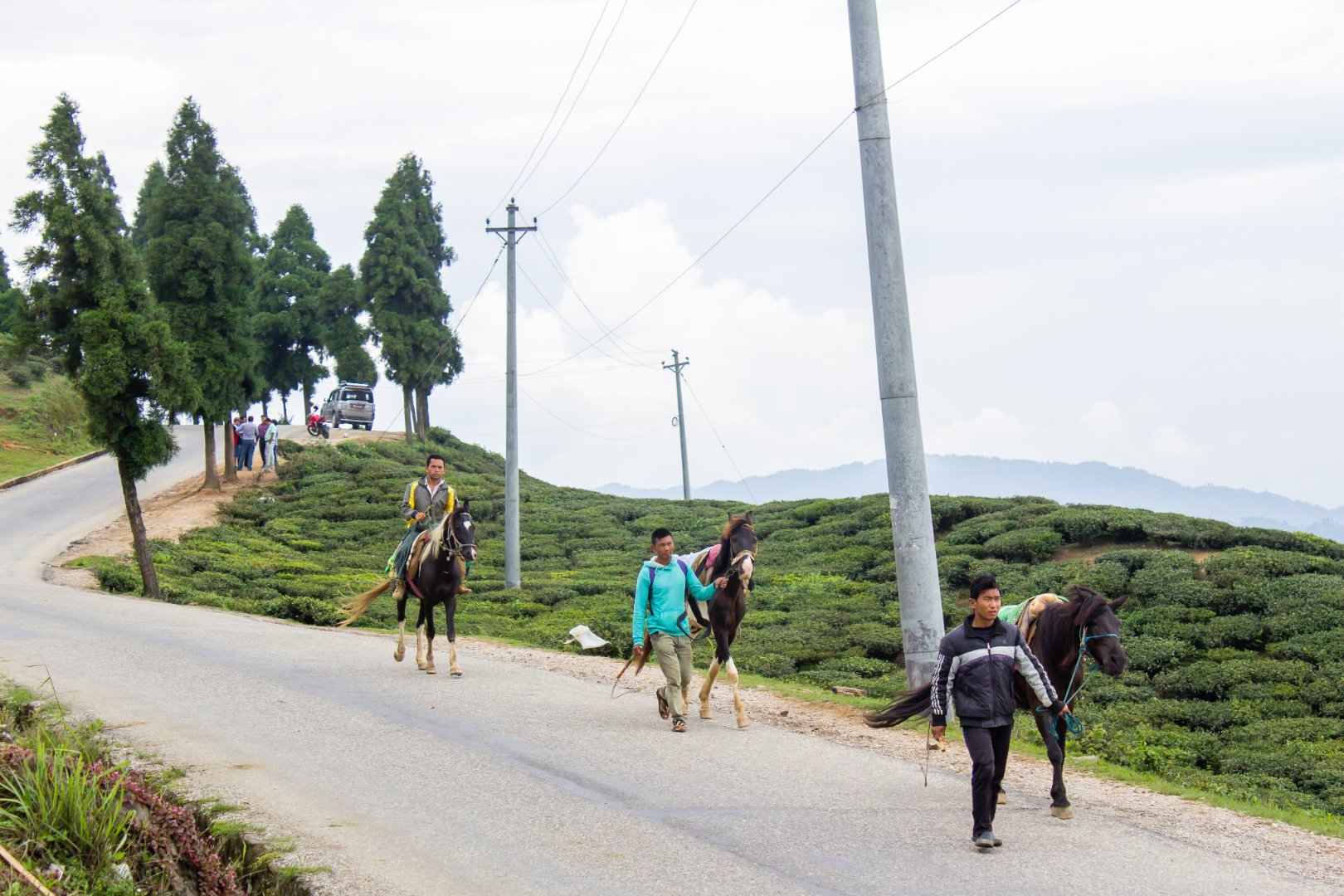 Horse riding through the tea rows at Kanyam